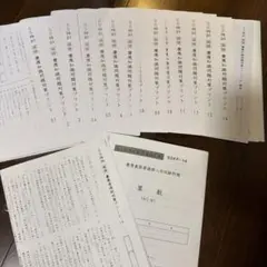 駿台 佐藤雅史 京大対策プリント - メルカリ