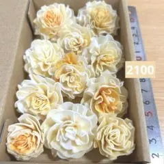 ソラフラワー　2100