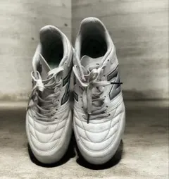 Item thumbnail for item dbcd3019-b2ea-42d8-a104-a6f57c7d29b0