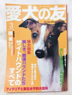 愛犬の友 2006年3月号特大特集サイトハウンドのすべて