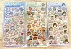 正規品　ボンボンドロップシール　水族館限定　3種セット　クーリア