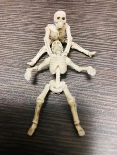 骸骨　ガイコツ　フィギュア　2体セット　約5cm