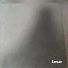 Senetem 大型マウスパッド ブラック