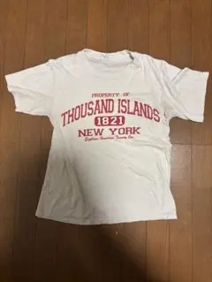 Tシャツ 90s 00s ヴィンテージ Y2K anvil カレッジ