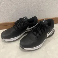 Item thumbnail for item eac0ed1d-0924-4868-a064-63b2274fd96e