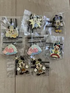 ディズニーリゾート　ジャングルカーニバル　ピンバッジ チャーム　ミッキー