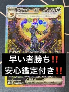 ブラッキーex　SAR 自引き美品 ブラッキー ex商品一覧（ポケモンカード） – トレカ（TCG）通販・買取