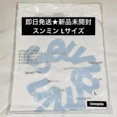 straykids RUN IT JAPAN スキズ Tシャツ　L スンミン