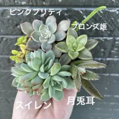 joy様 リクエスト 2点 まとめ商品