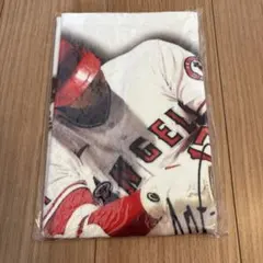 大谷翔平 MVP 2021 プレミアムフレーム切手セット