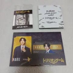 Snow Man 目黒蓮 トリリオンゲーム グッズセット