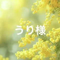 うり様 リクエスト 2点 まとめ商品