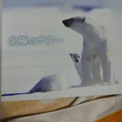 しろくまちゃん様 リクエスト 2点 まとめ商品