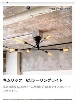 LOWYA キムリック 6灯シーリングライト - メルカリ