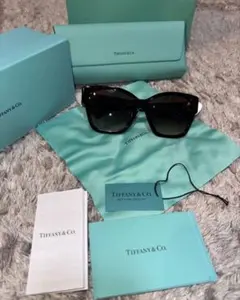 Tiffany & Co. サングラス TF4216F 8015/3Bのサムネイル