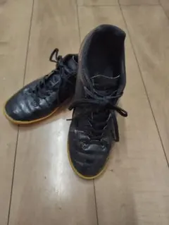 モナルシーダネオ 26