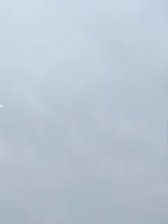 ゆきうさぎ様専用