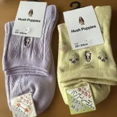 Hush Puppies ソックス 22-24cm2足セット