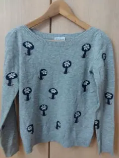 サリースコット