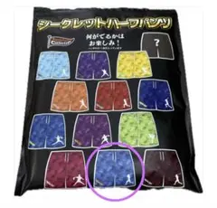 楽天イーグルス 岡島豪郎 シークレットハーフパンツ