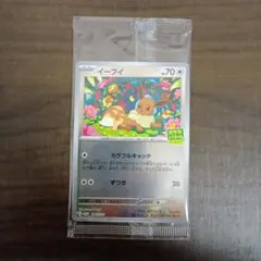 ポケモンカード　プロモ　イーブイ