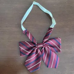 イーストボーイ　リボン