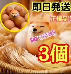 【即日発送】柴犬しばこ　しばいぬ　 卵型 ソフトタイプ　スクイーズ　3個セット