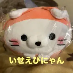 もちふわころころにゃんこ　いせえびにゃん ぬいぐるみ 三重　ねこ　ぬいぐるみのサムネイル