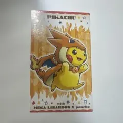 【非売品・激レア】メガリザードンYのポンチョを着たピカチュウ