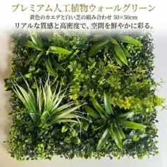 ウォールグリーン50×50cm人工観葉植物壁掛けフェイクグリーン高密度カエデのサムネイル