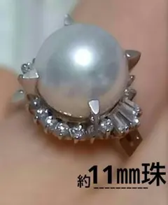 Item thumbnail for item b2831a41-11f0-40f6-9572-dd50c9a36e38