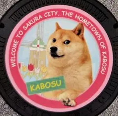 マンホールカード 千葉県 佐倉市 かぼすちゃん 〈まとめ割引します〉