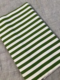 未使用　ストライプ　緑色