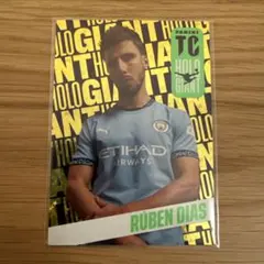 Item thumbnail for item 49ebed06-6eb0-4dd6-819e-64d017344fcb