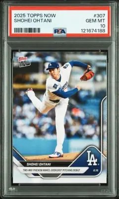 Item thumbnail for item 62aa96a0-fdee-45c5-8161-bc3e38c457d7