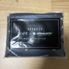 アテニア　キャリーオントートバッグ