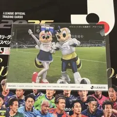 2025 EPOCH Jリーグ SE チェックリスト アビーくん アピスパ福岡