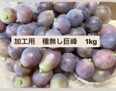 本日発送　加工用種無し巨峰　1kg粒のサムネイル