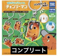 チェーンソーマン　ポチタ　めじるし　コンプリーセット