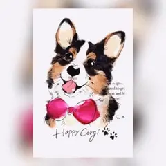 マロちゃん様 リクエスト 3点 まとめ商品