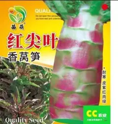 2026年最新】茎レタの人気アイテム - メルカリ