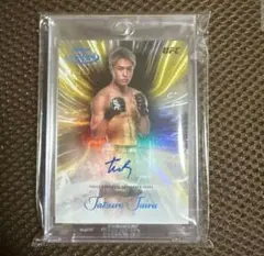 Item thumbnail for item f5eb8aa5-d6dc-4b03-a3b3-aa0b2bc7d18a