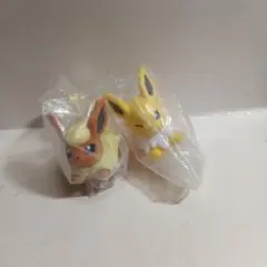 ポケモンキッズ　ブースターとサンダース⑦