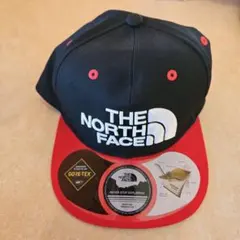 THE NORTH FACE ノースフェイス ゴアテックス NN01918のサムネイル