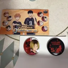 ハイキュー!! 〜盛り上がれ！劇場応援〜 E賞 缶バッジ 2個セット 孤爪研磨