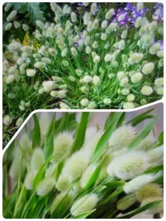 りさな様 リクエスト 4点 まとめ商品