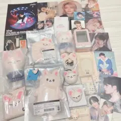 Straykids SKZOOアイエン（フォクシニ）グッズセット スキズ フォクシニーセット アイエン Stray Kids I.N - メルカリ