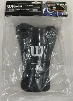 Item thumbnail for item 903e4337-60b4-47ad-b1fb-c130ed9011dd