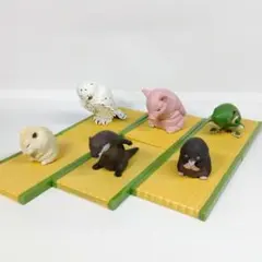 エール おじぎさん 畳台座付き6匹セット