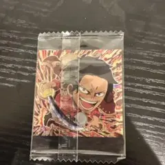 ワンピース ウエハース 両面 ロジャー log.12